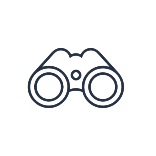 Binoculars - Vision Icon